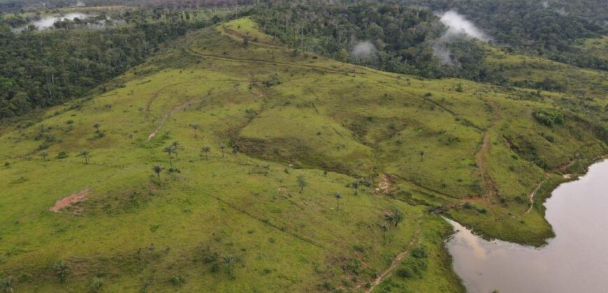 Fazenda A Venda Vilhena Pecuaria