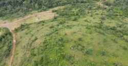 Fazenda A Venda Vilhena Pecuaria
