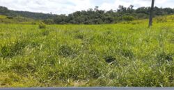 Fazenda A Venda Vilhena Pecuaria