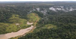 Fazenda A Venda Vilhena Pecuaria