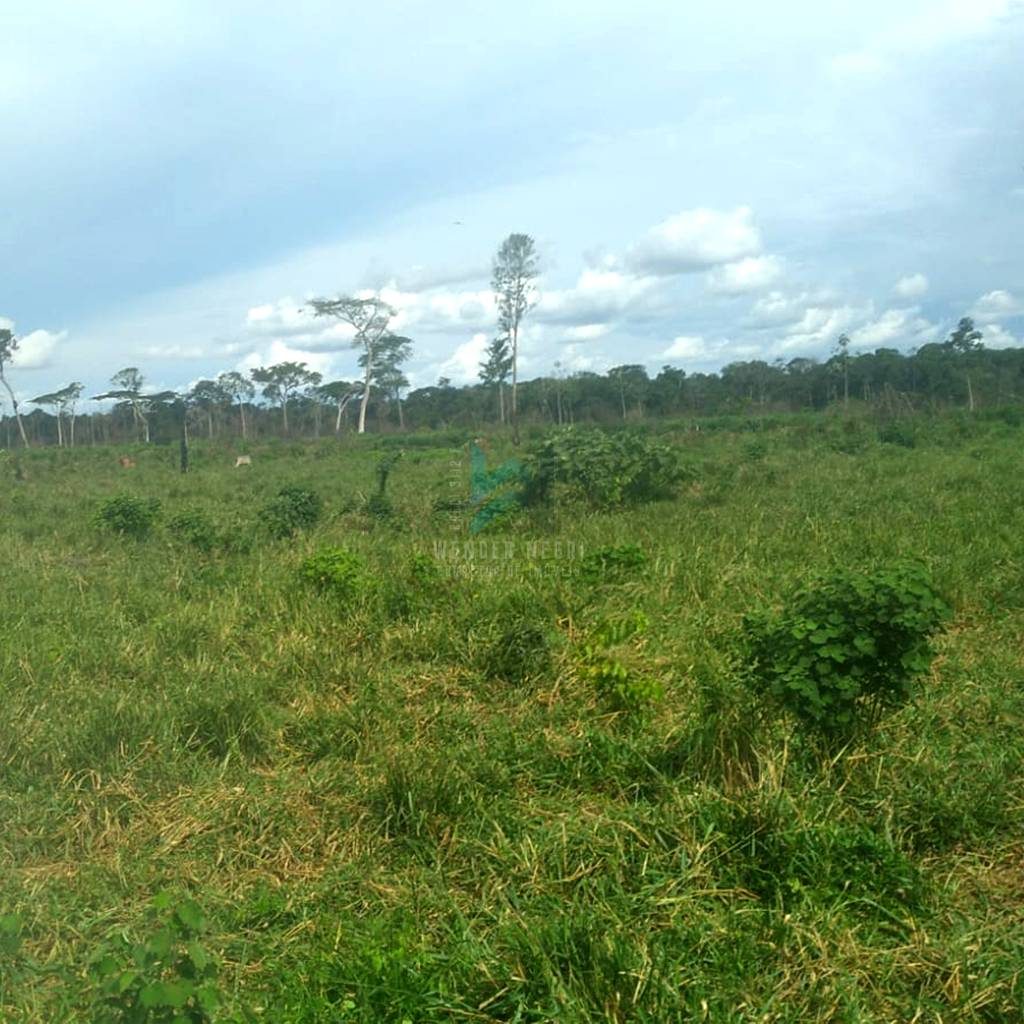 Sitio A Venda 19 Alqueires Pimenteiras do Oeste