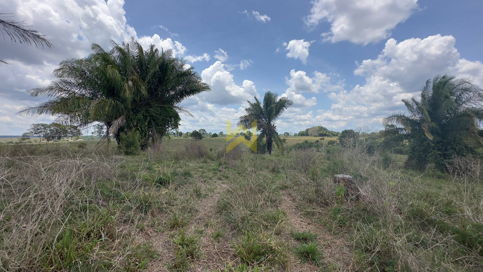 Sitio para pecuaria vilhena (1) Sitio para pecuaria vilhena (1)