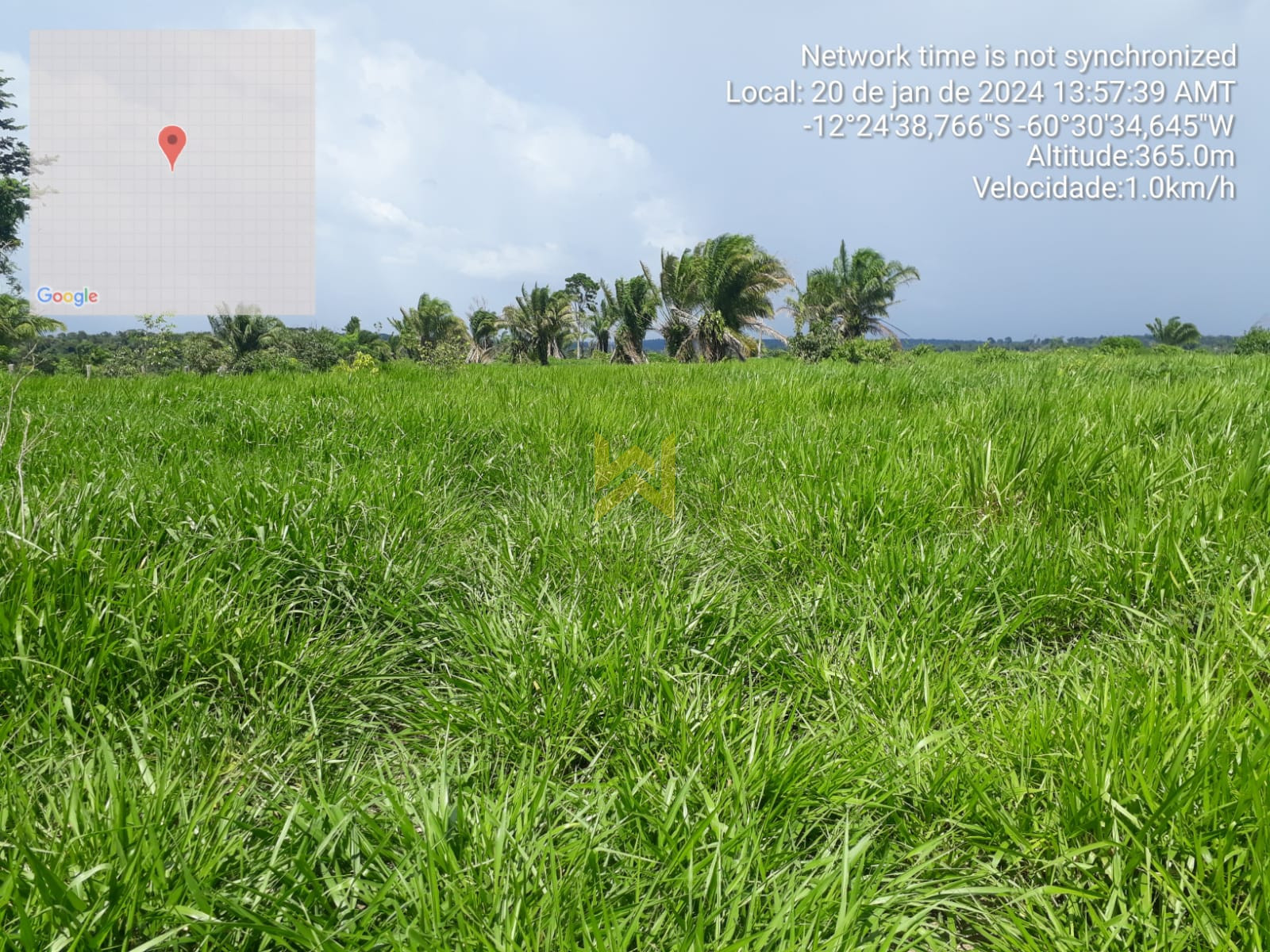 Sitio para pecuaria vilhena (10)