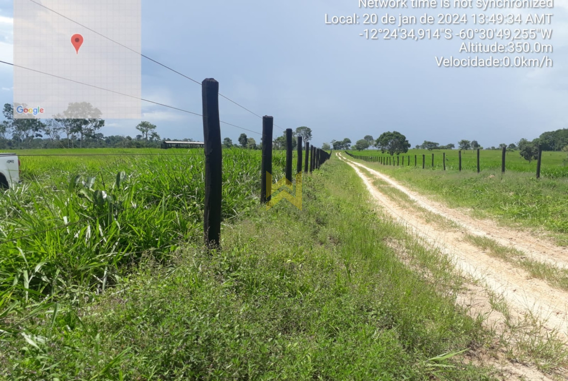 Sitio para pecuaria vilhena (1)