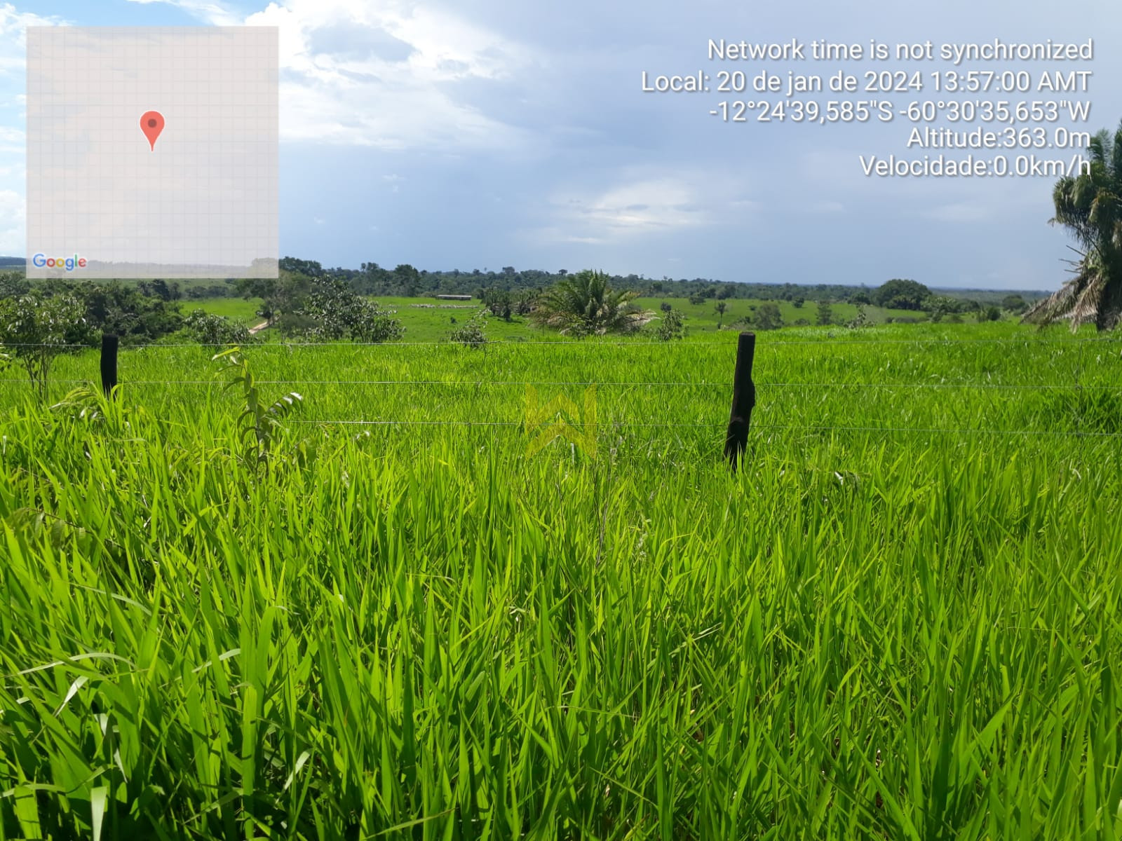 Sitio para pecuaria vilhena (13)