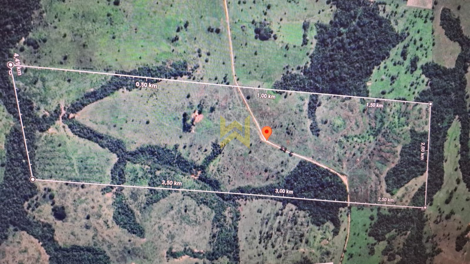 Sitio para pecuaria vilhena (17)