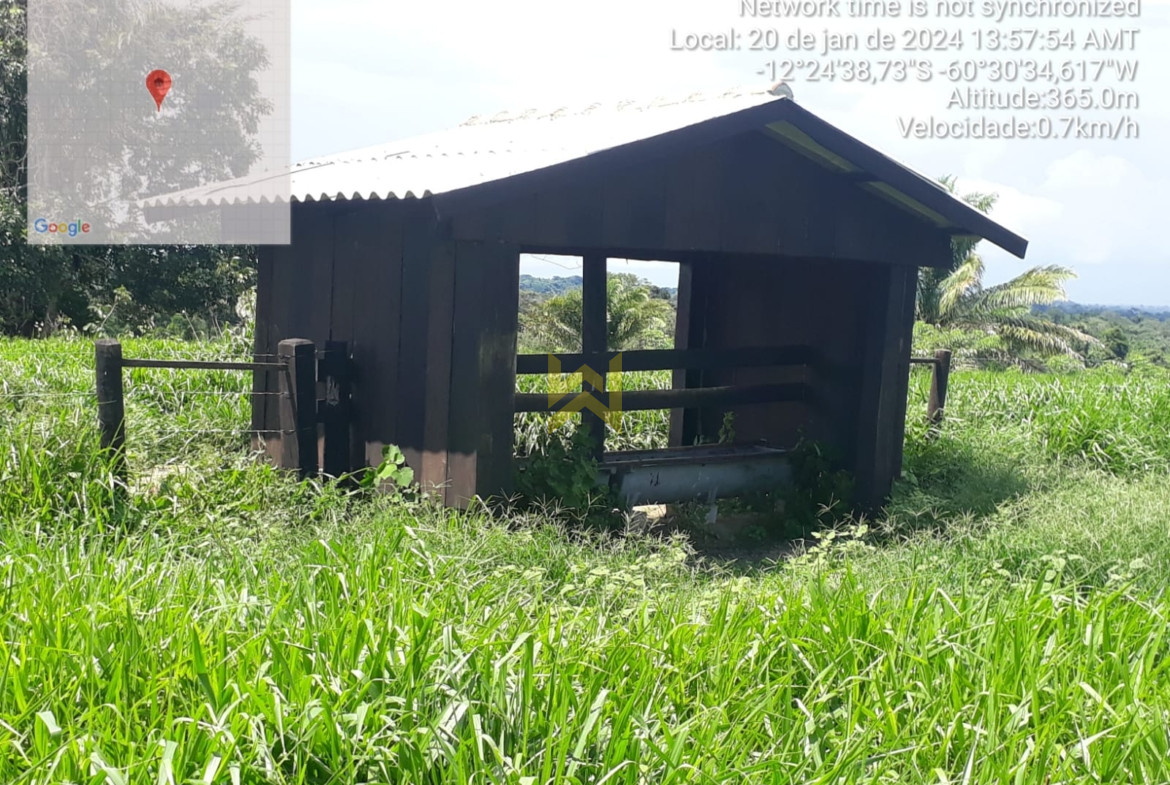 Sitio para pecuaria vilhena (1)
