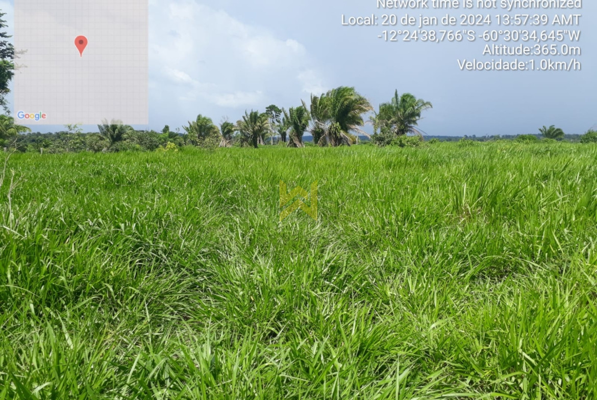 Sitio para pecuaria vilhena (1)