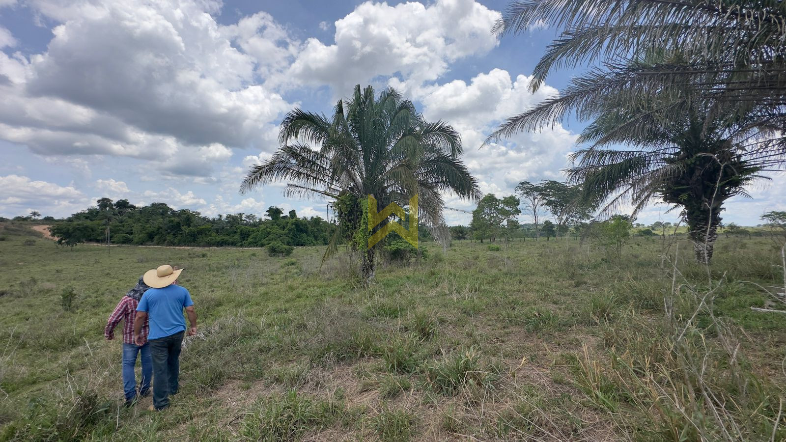 Sitio para pecuaria vilhena (2) Sitio para pecuaria vilhena bacuri