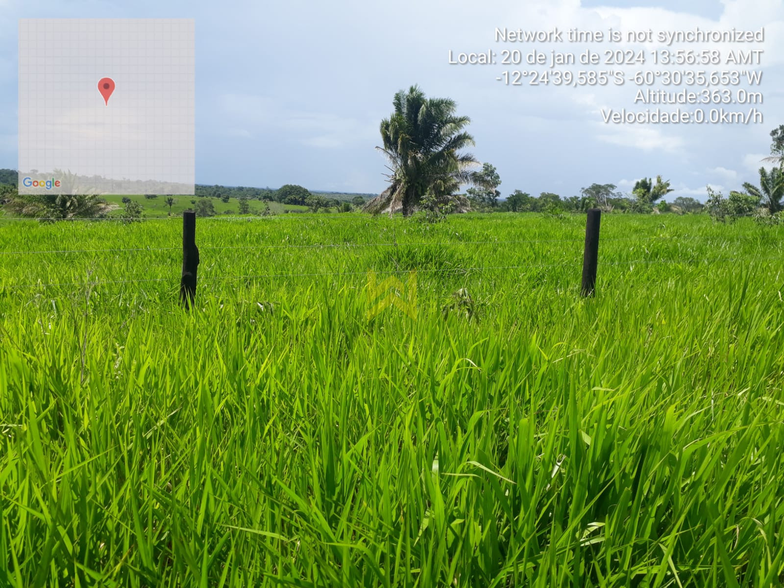 Sitio para pecuaria vilhena (21)