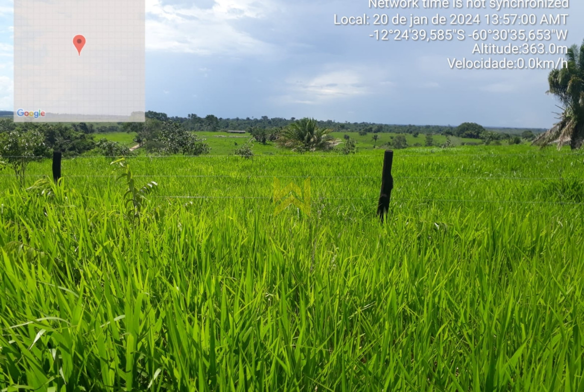 Sitio para pecuaria vilhena (1)