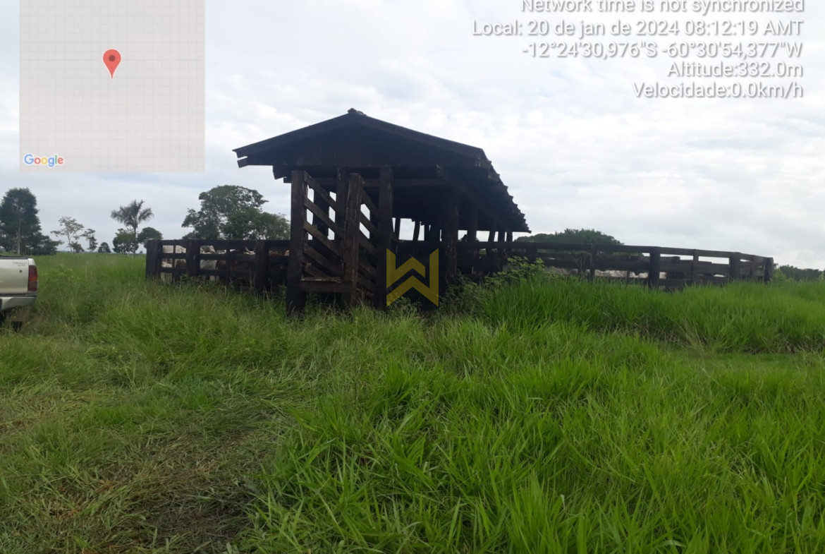 Sitio para pecuaria vilhena (1)