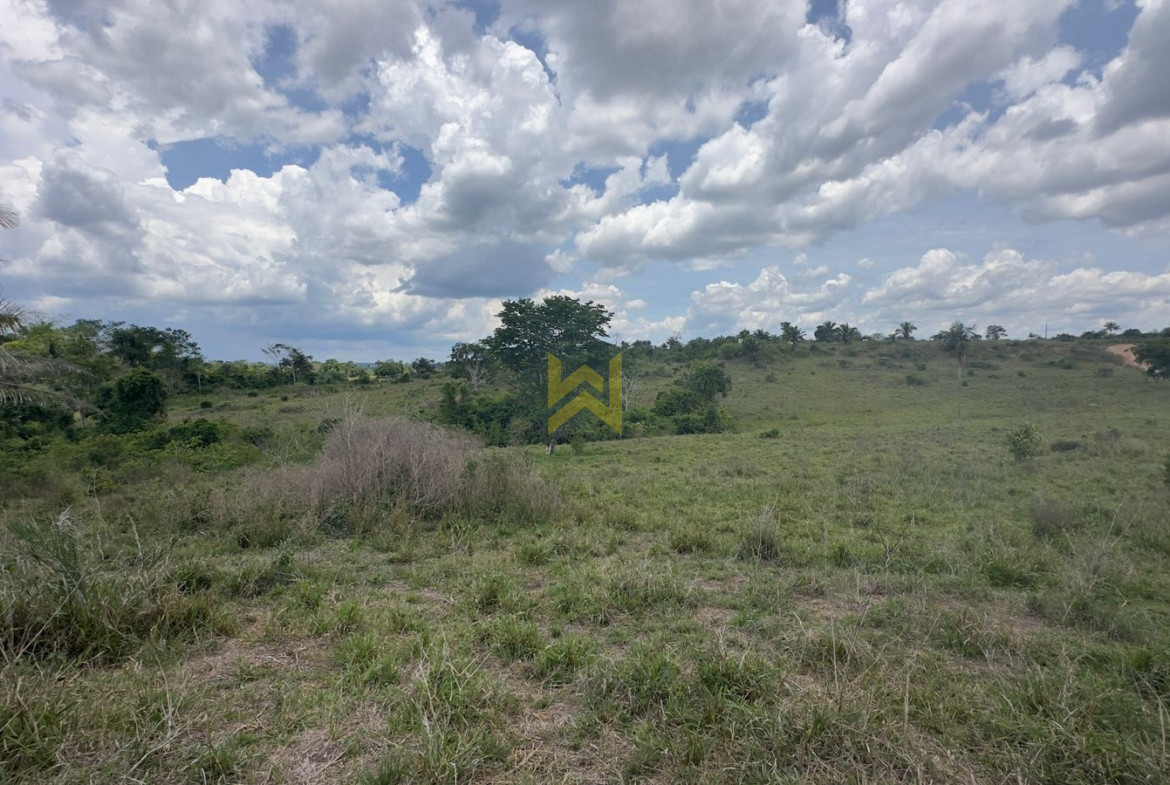 Sitio para pecuaria vilhena (1)