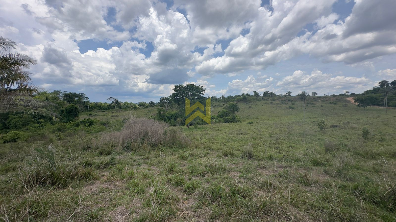 Sitio para pecuaria vilhena (3) Sitio para pecuaria vilhena (1)