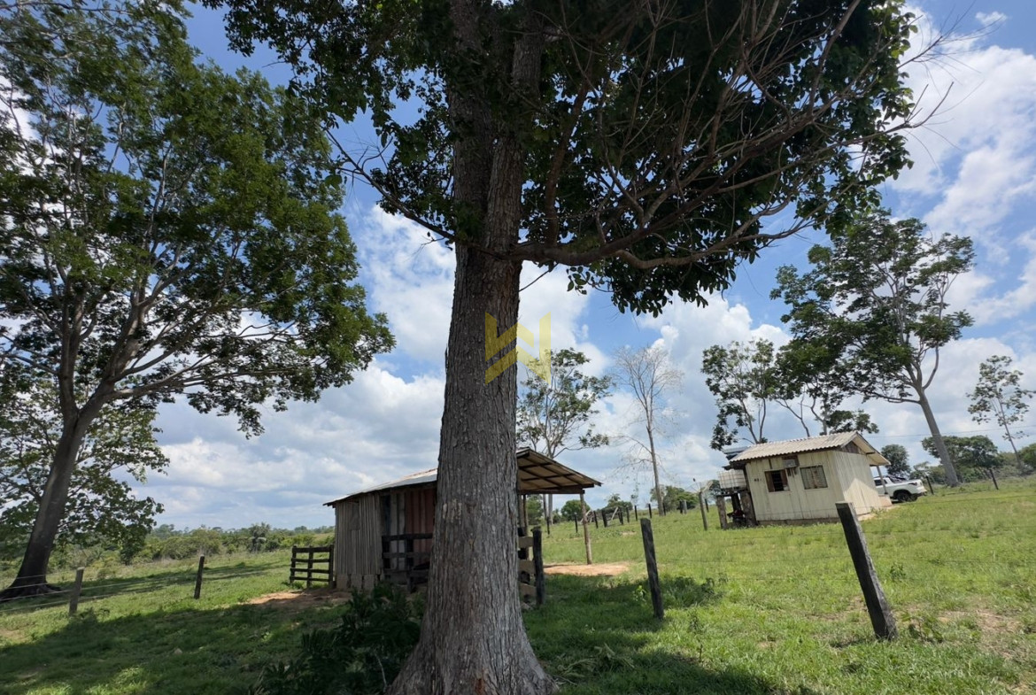 Sitio para pecuaria vilhena (1)