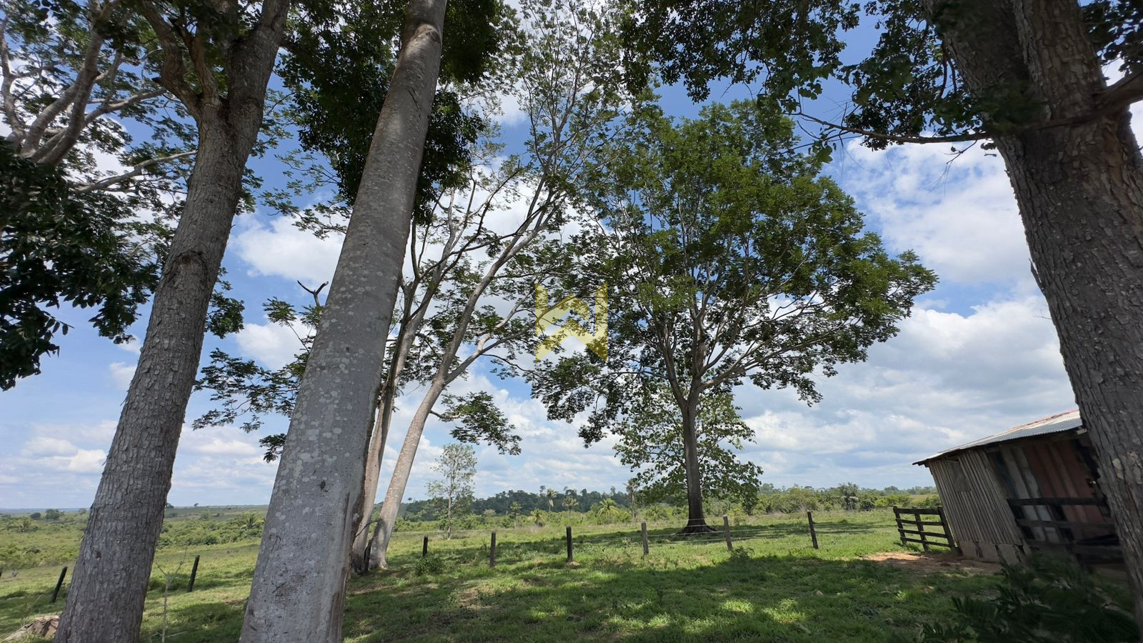 Sitio para pecuaria vilhena (6) Sitio para pecuaria vilhena (1)