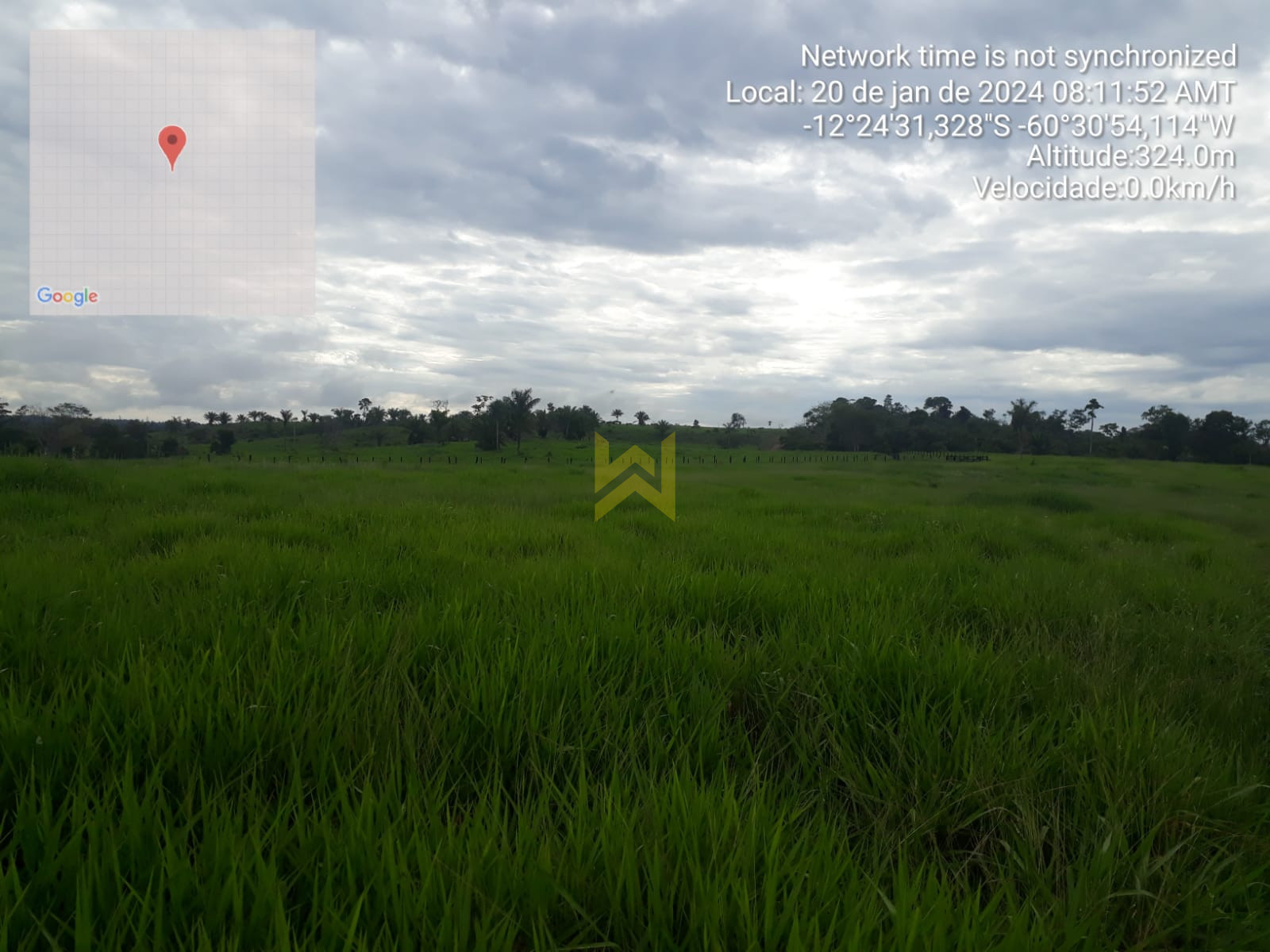 Sitio para pecuaria vilhena (8)