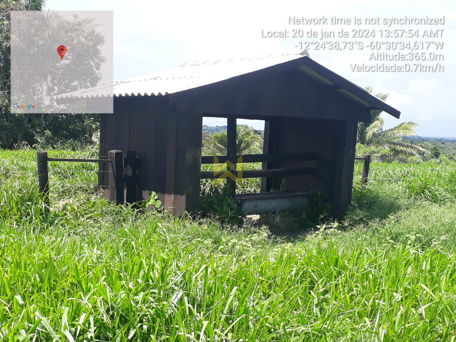 Sitio para pecuaria vilhena (9)