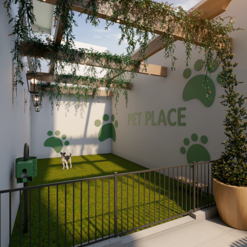 Petplace maggiore vilhena ro